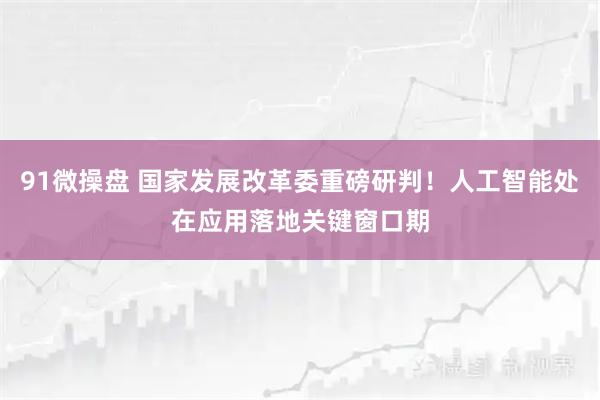 91微操盘 国家发展改革委重磅研判！人工智能处在应用落地关键窗口期
