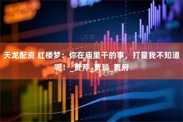 天龙配资 红楼梦：你在庙里干的事，打量我不知道呢！_贾芹_贾珍_贾府