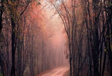 在线实盘配资:股票10倍杠杆软件-美股三大指数上涨 道指创历史新高 亚马逊股价逆势大跌